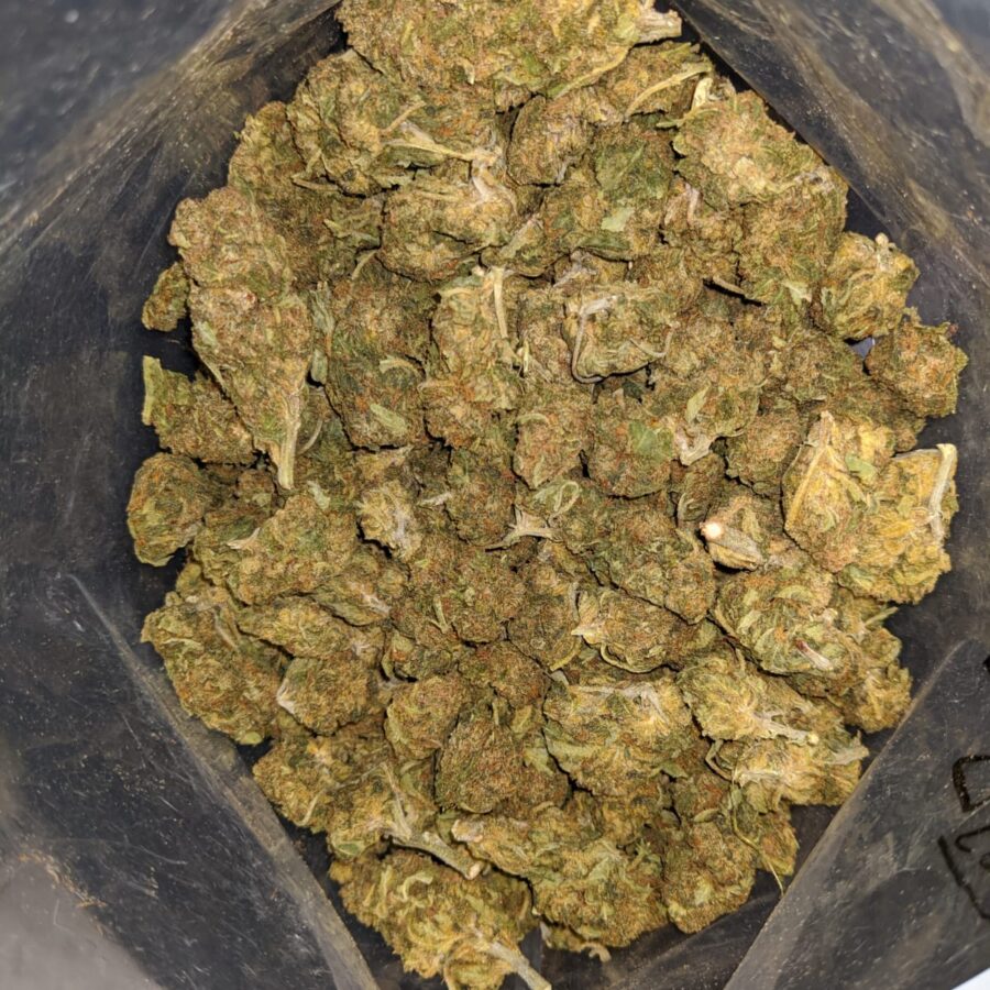 BLACK DIESEL 5 I Black Diesel Bulk Special