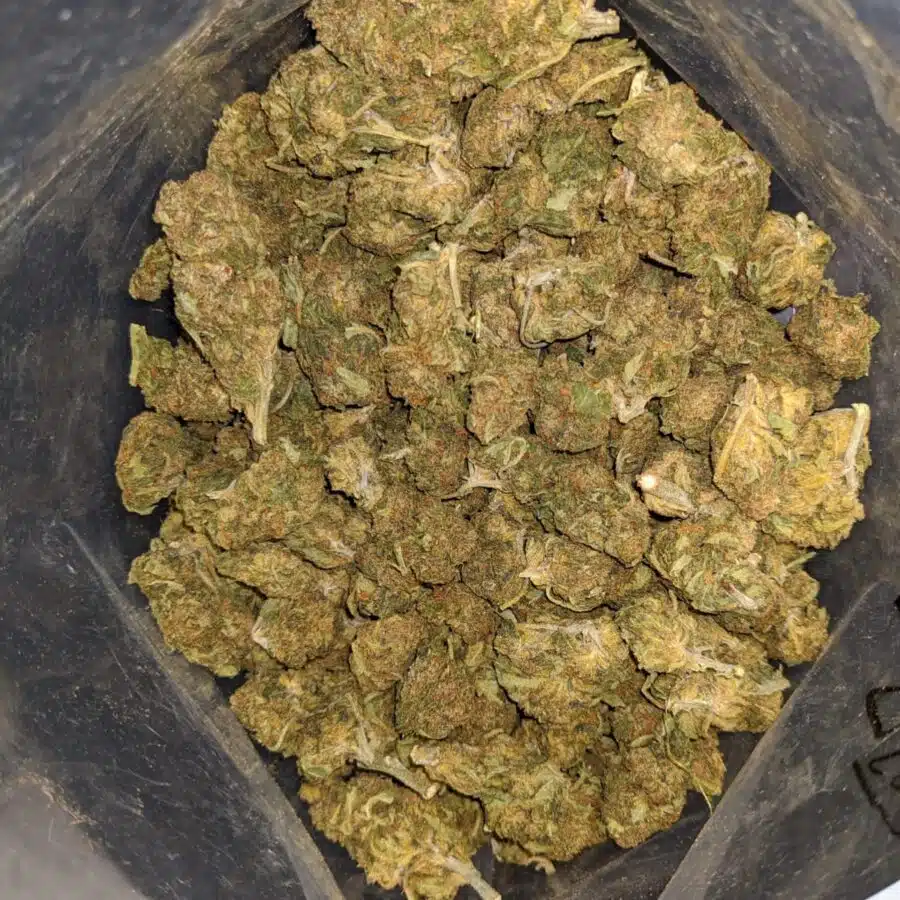 BLACK DIESEL 5 I Black Diesel Bulk Special