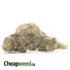 Black Diesel Bulk Special