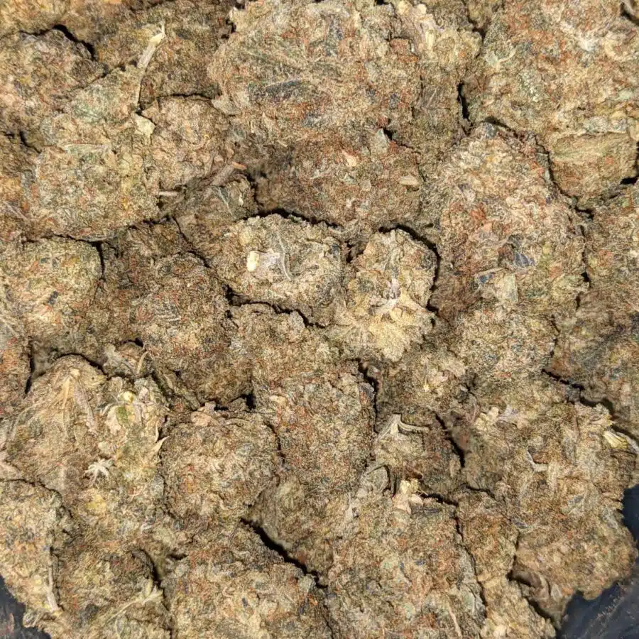 Black licorice 2 1 I Black Licorice Bulk Special