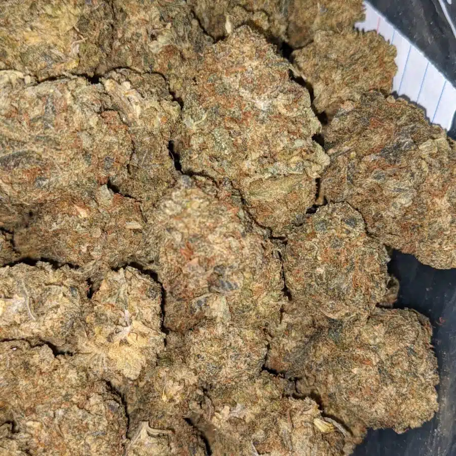 Black licorice 3 1 I Black Licorice Bulk Special