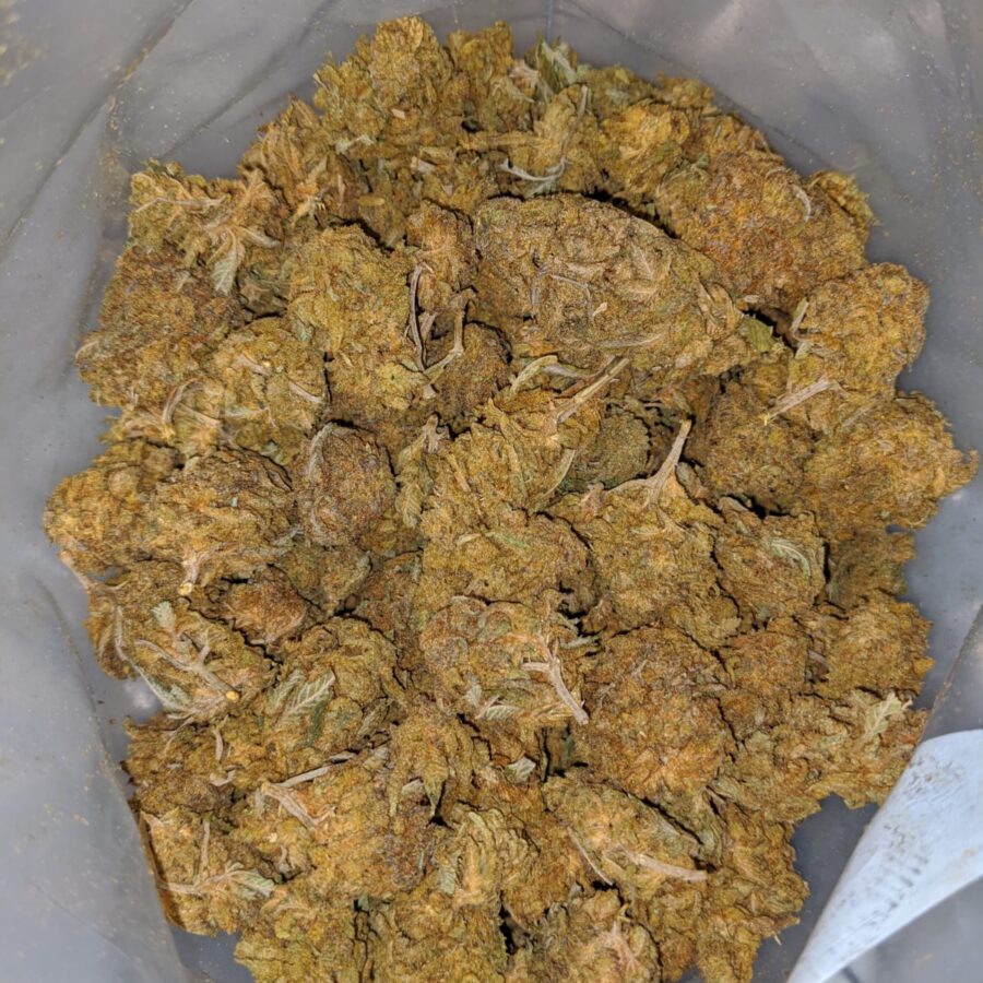 Budget Nuken BS 3 I Budget Nuken Bulk Special