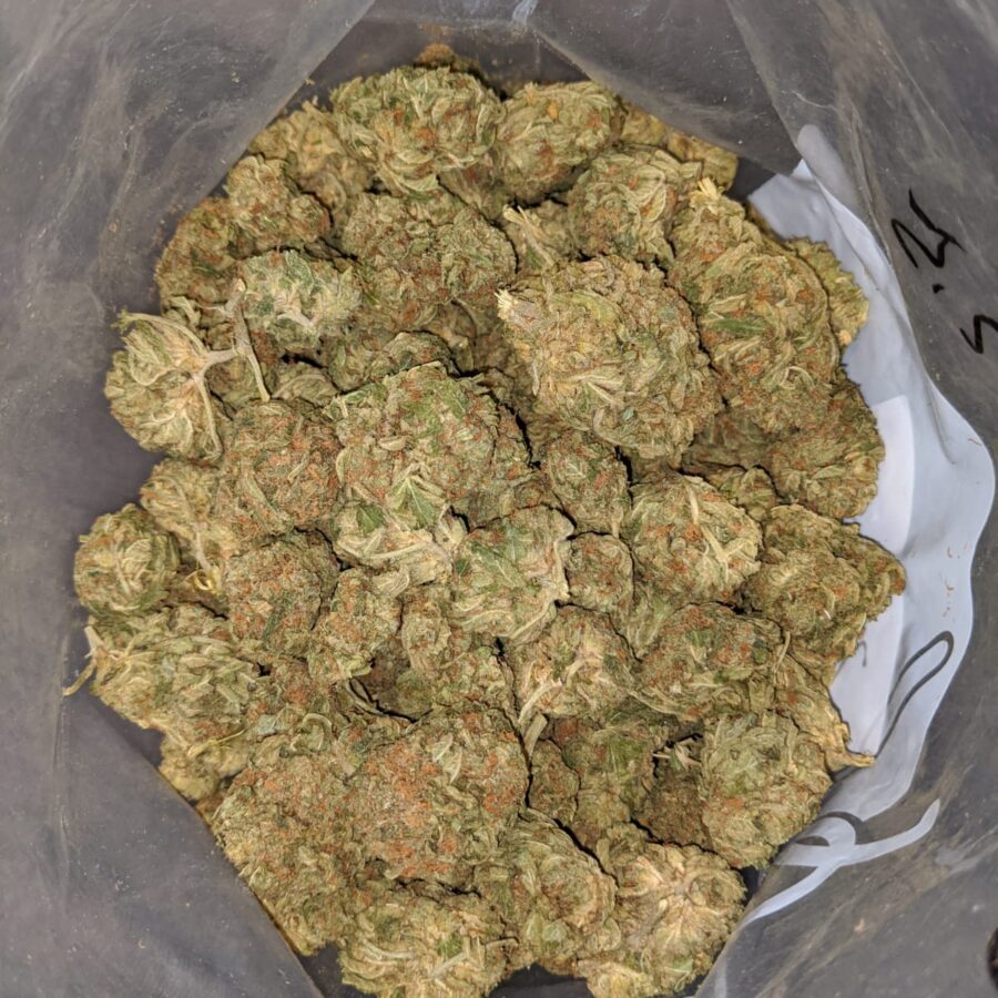 CANNATONIC BS 4 I Cannatonic Bulk Special