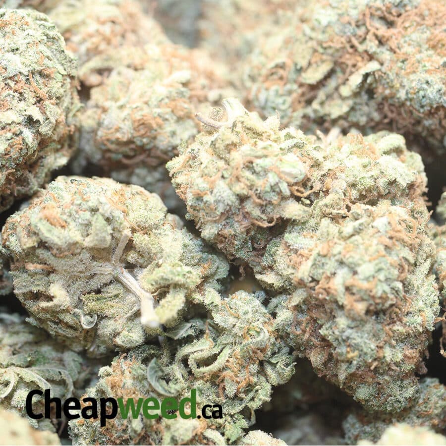 Caramel Candy - *Deal of the Day* - Image 3