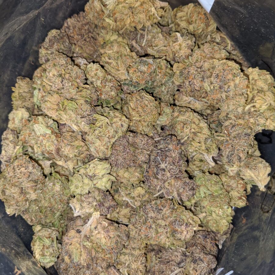 CHAMPAGNE MIMOSA 1 I Mimosa Champagne Bulk Special