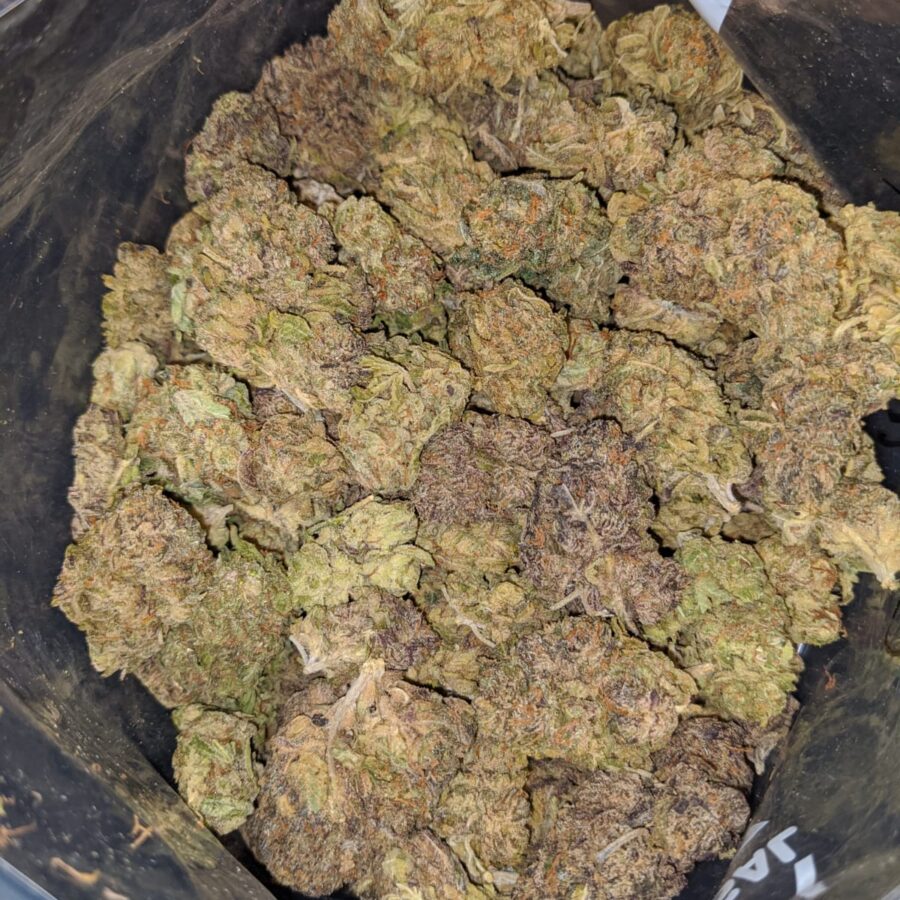 CHAMPAGNE MIMOSA 4 I Mimosa Champagne Bulk Special