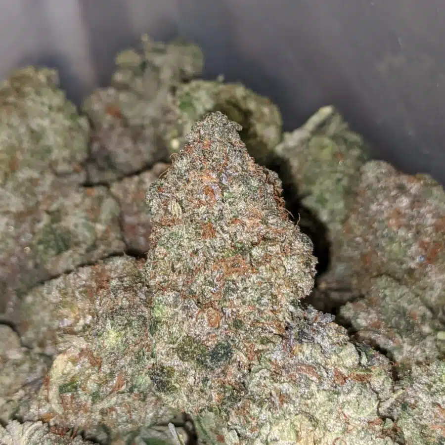 CHEMDAWG 3 I $99 Oz - Chemdawg