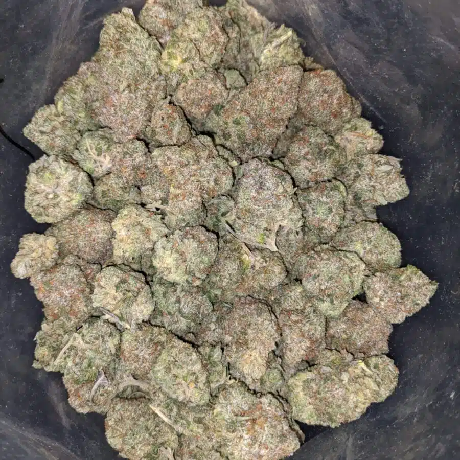 CHEMDAWG 4 I $99 Oz - Chemdawg