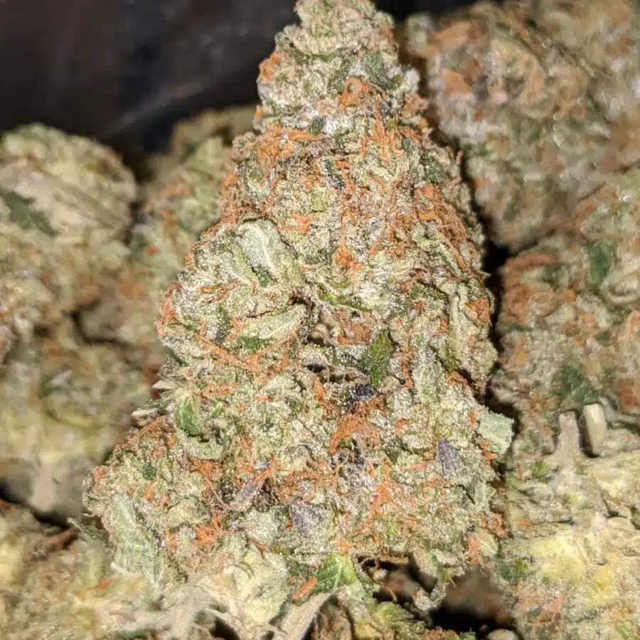 GOD BUBBA 2 2 I $79 Oz - God Bubba