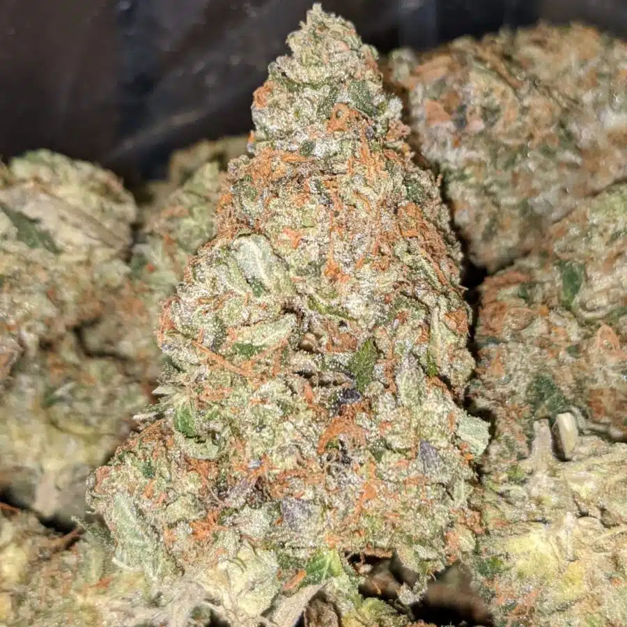 GOD BUBBA 3 2 I $79 Oz - God Bubba