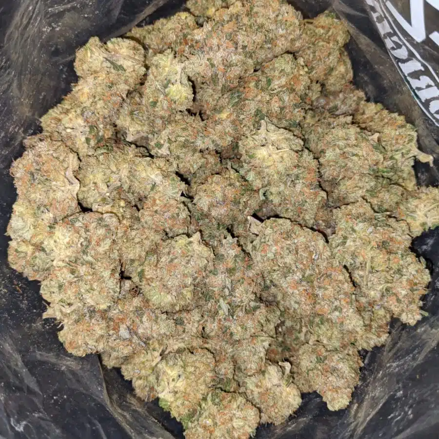 GOD BUBBA 4 2 I $79 Oz - God Bubba
