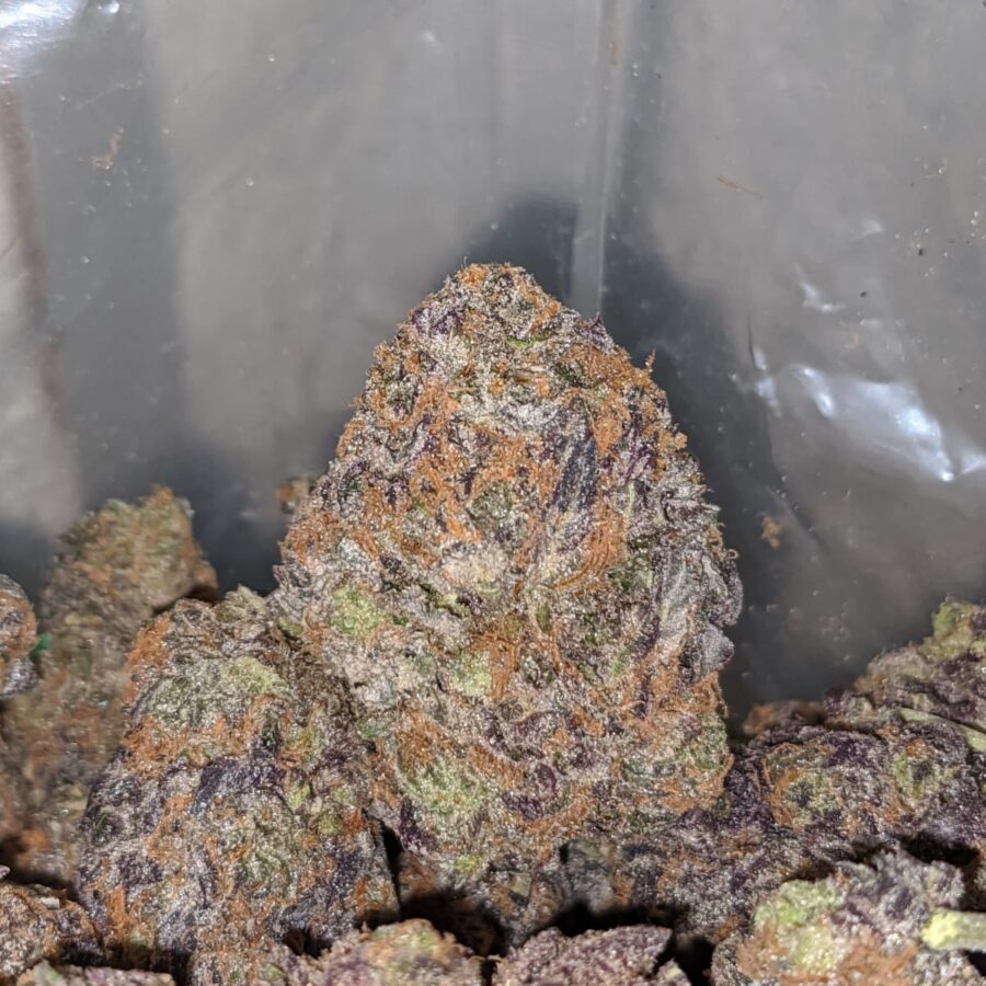 Grape Thrashers - Image 5