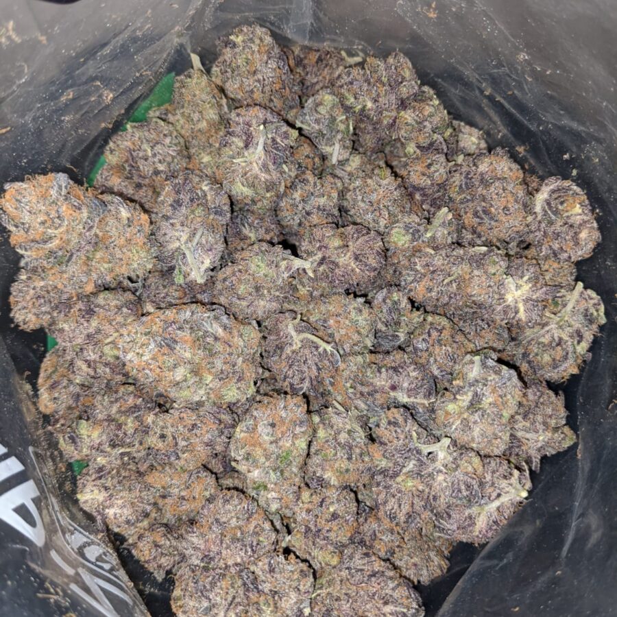 Grape Thrashers - Image 7