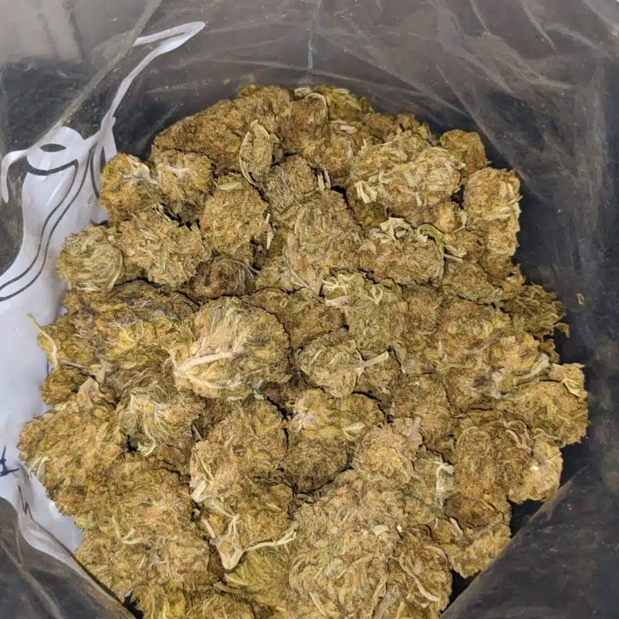 GREEN CONGO BS 3 I Green Congo Bulk Special