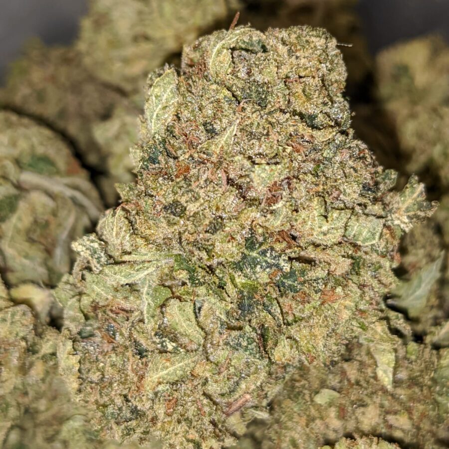 Green Dream XMAS Special - Image 5