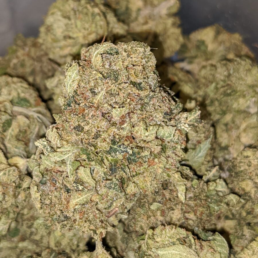 Green Dream XMAS Special - Image 7