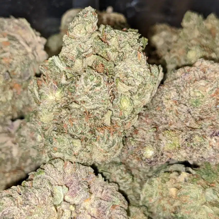 $89 Oz - Icewreck