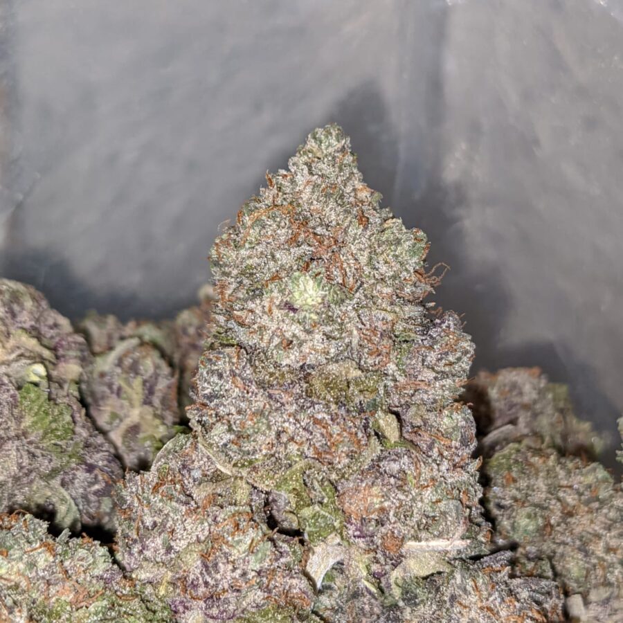 ICE WRECK DOD 1 I Ice Wreck - *Deal of the Day*
