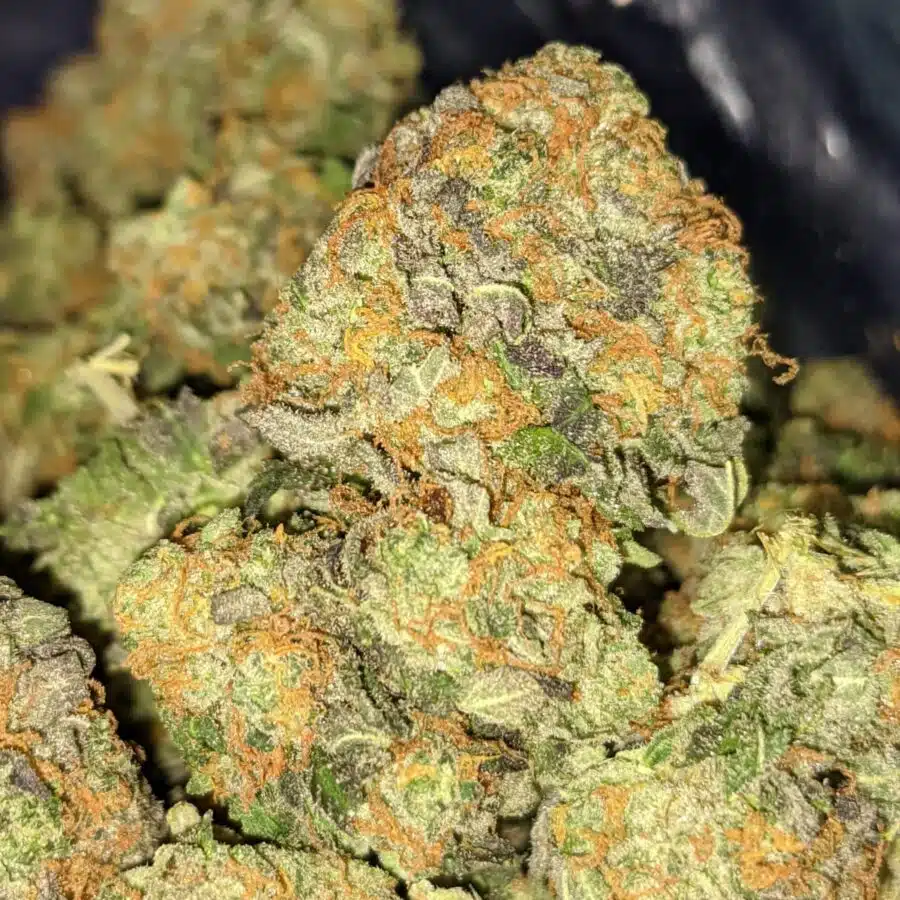 JEDI KUSH 1 1 I Jedi - *Deal of the Day*