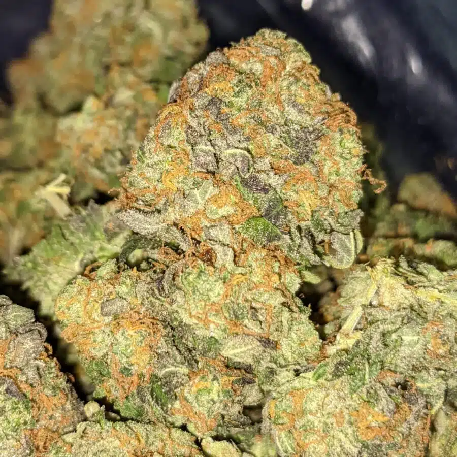 JEDI KUSH 3 1 I Jedi - *Deal of the Day*