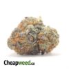 King's Kush Bulk Special
