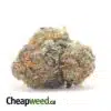 King's Kush Bulk Special