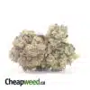 Kubbie - *Deal Of The Day*