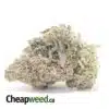 Lemon Cake - *Deal of the Day*