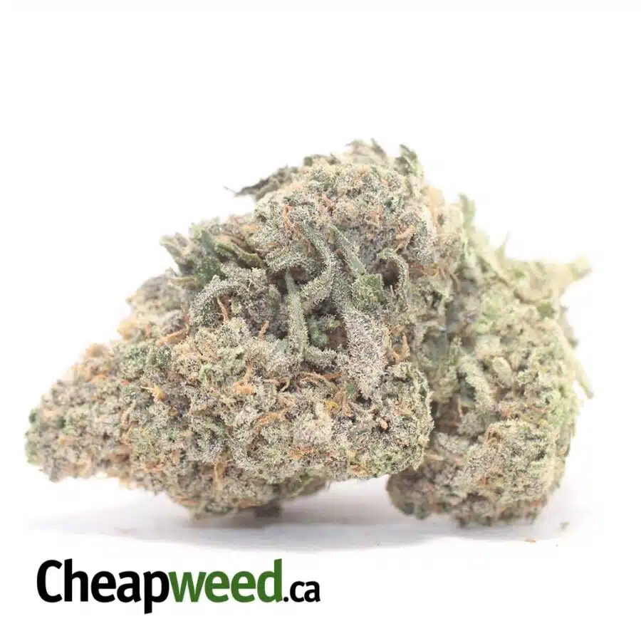 Lemon Cake - *Deal of the Day*