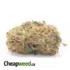 Malawi Gold Bulk Special