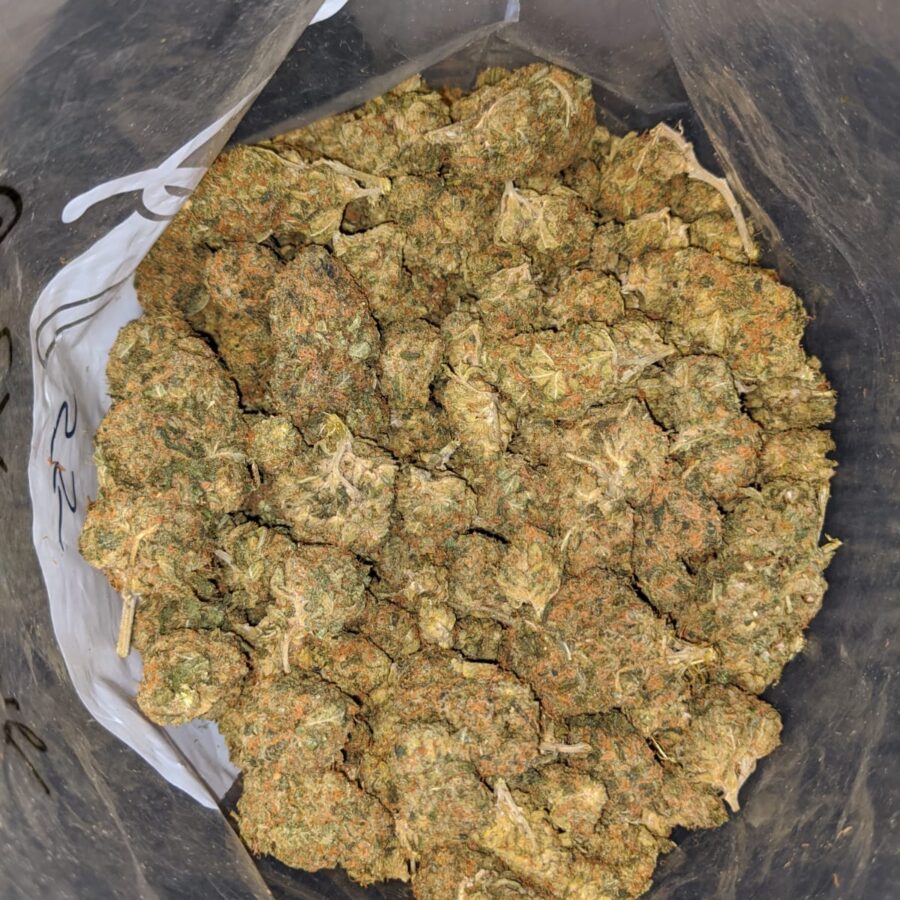 Malawi Gold Bulk Special - Image 7