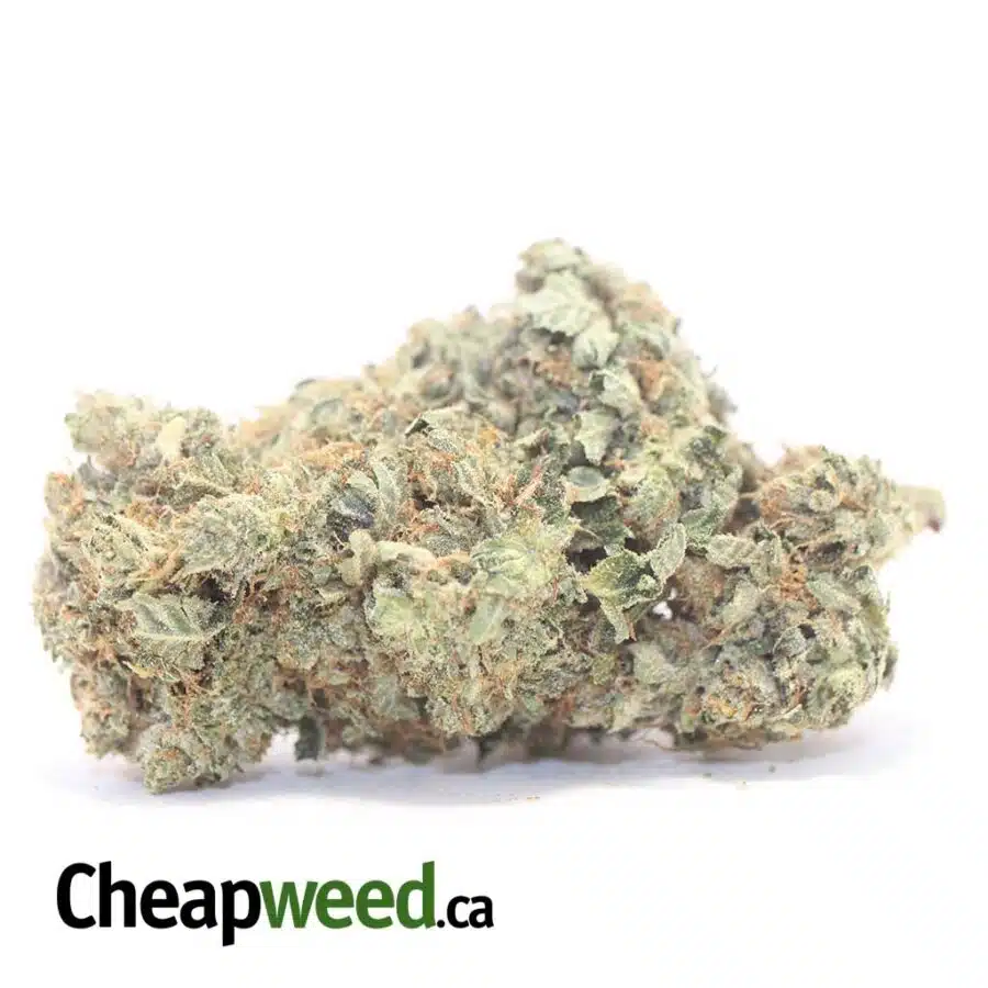 AK-47