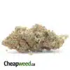 Pineapple Banana - *Deal of the Day*