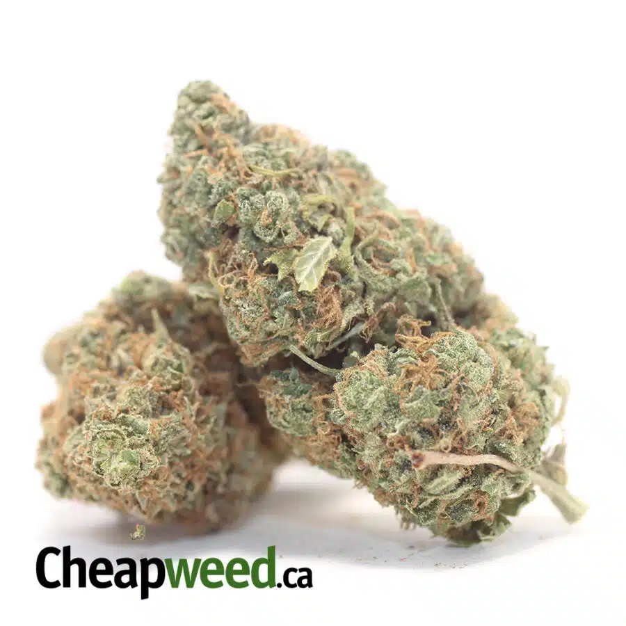 Alternative view of Pineapple Banana - *Deal of the Day*