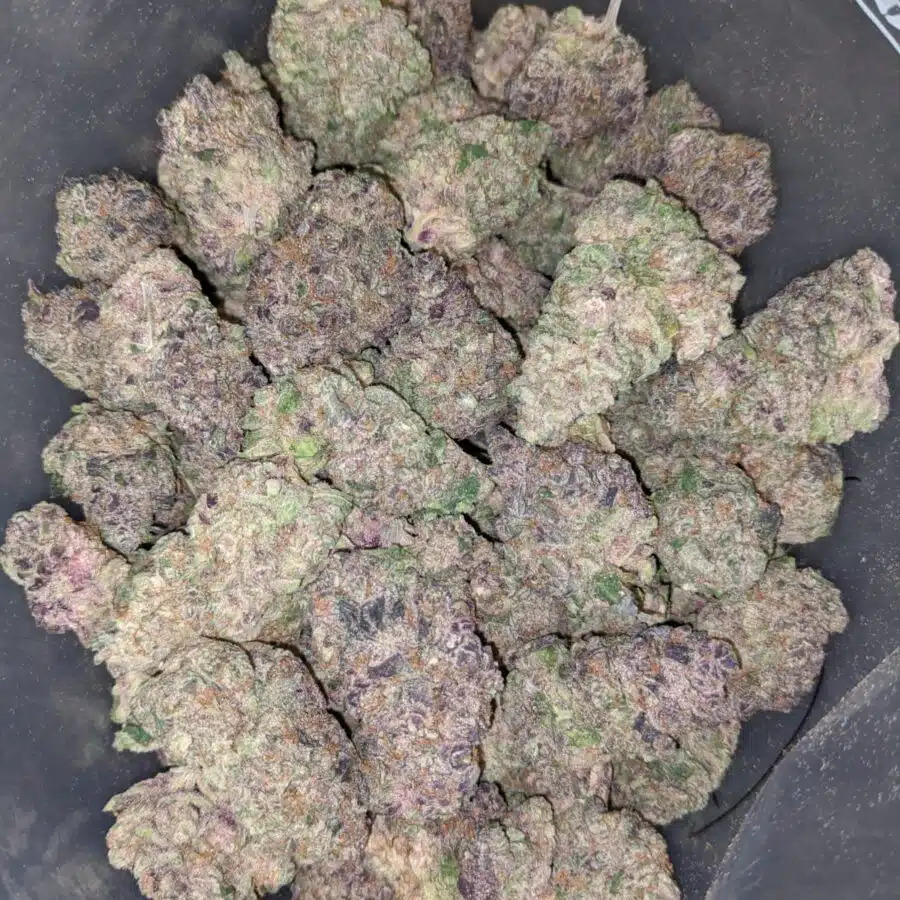 PURPLE CHAMPAGNE 2 I $169 Oz - Purple Champagne