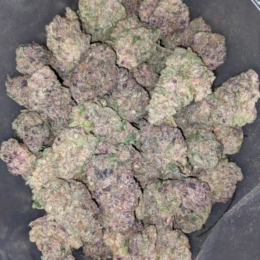 PURPLE CHAMPAGNE 3 I $169 Oz - Purple Champagne