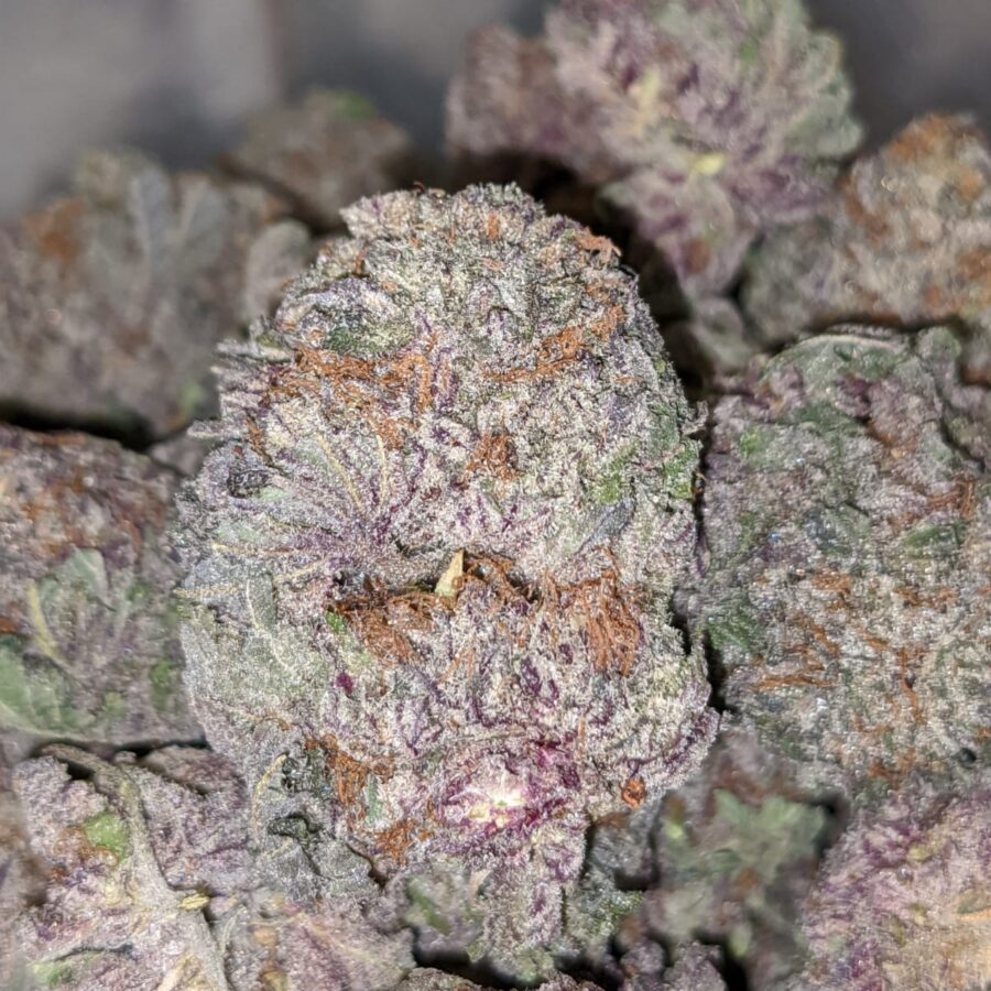 PURPLE MAGIC AAA 1 I $69oz - Purple Magic