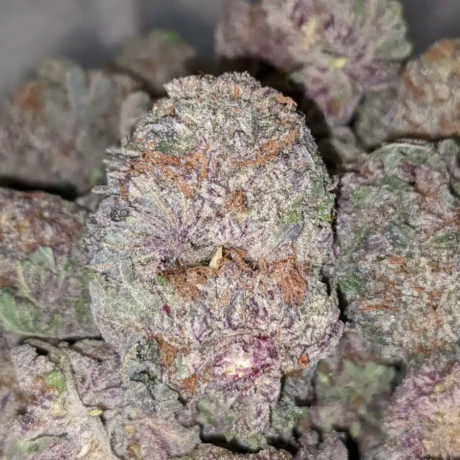 PURPLE MAGIC AAA 4 I $69oz - Purple Magic