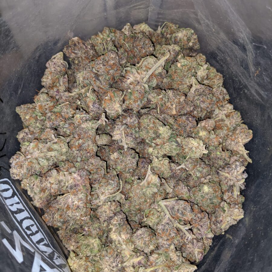 PURPLE MARTIAN BS 3 I Purple Martian