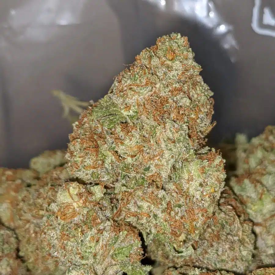 RED CONGOLESE 1 I $69 Oz - Red Congolese