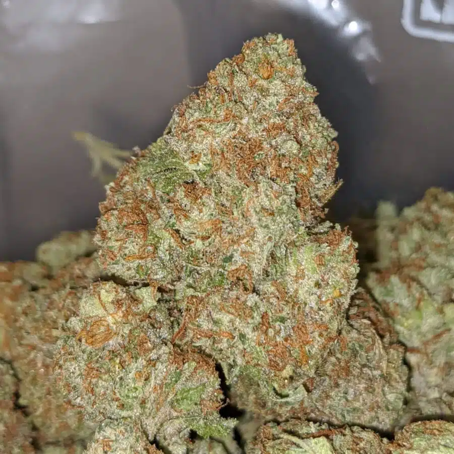RED CONGOLESE 2 I $69 Oz - Red Congolese