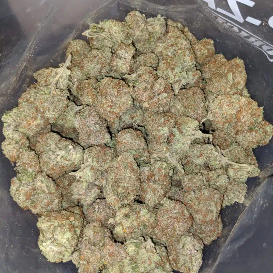 RED CONGOLESE 3 I $69 Oz - Red Congolese