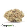 AA Scrappy Brainstorm Haze