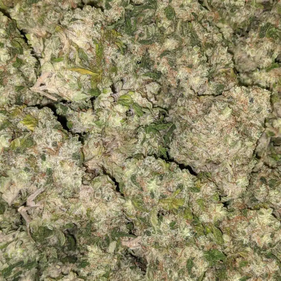 SUPER KUSH 2 rotated I Super Kush Bulk Special