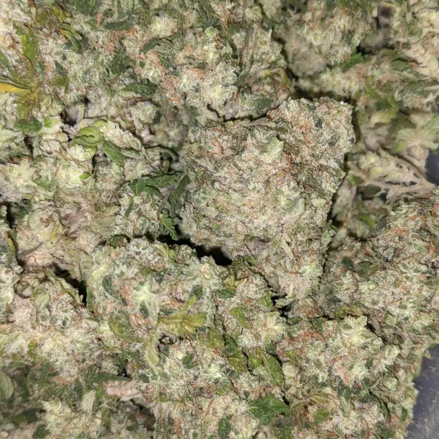 SUPER KUSH 3 rotated I Super Kush Bulk Special