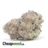 $169 Oz - Tropicana Punch