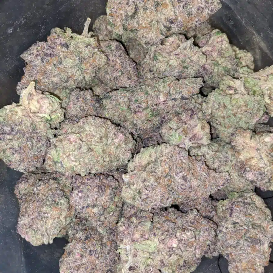TROPICANA PUNCH 3 I $169 Oz - Tropicana Punch