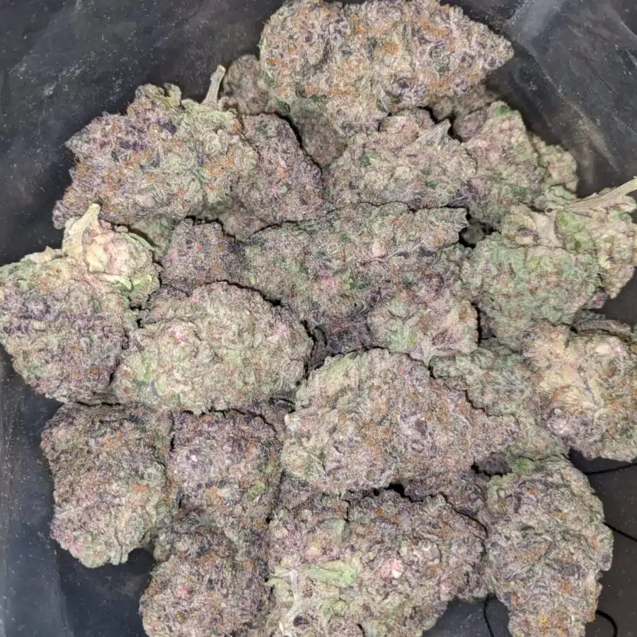 TROPICANA PUNCH 4 I $169 Oz - Tropicana Punch