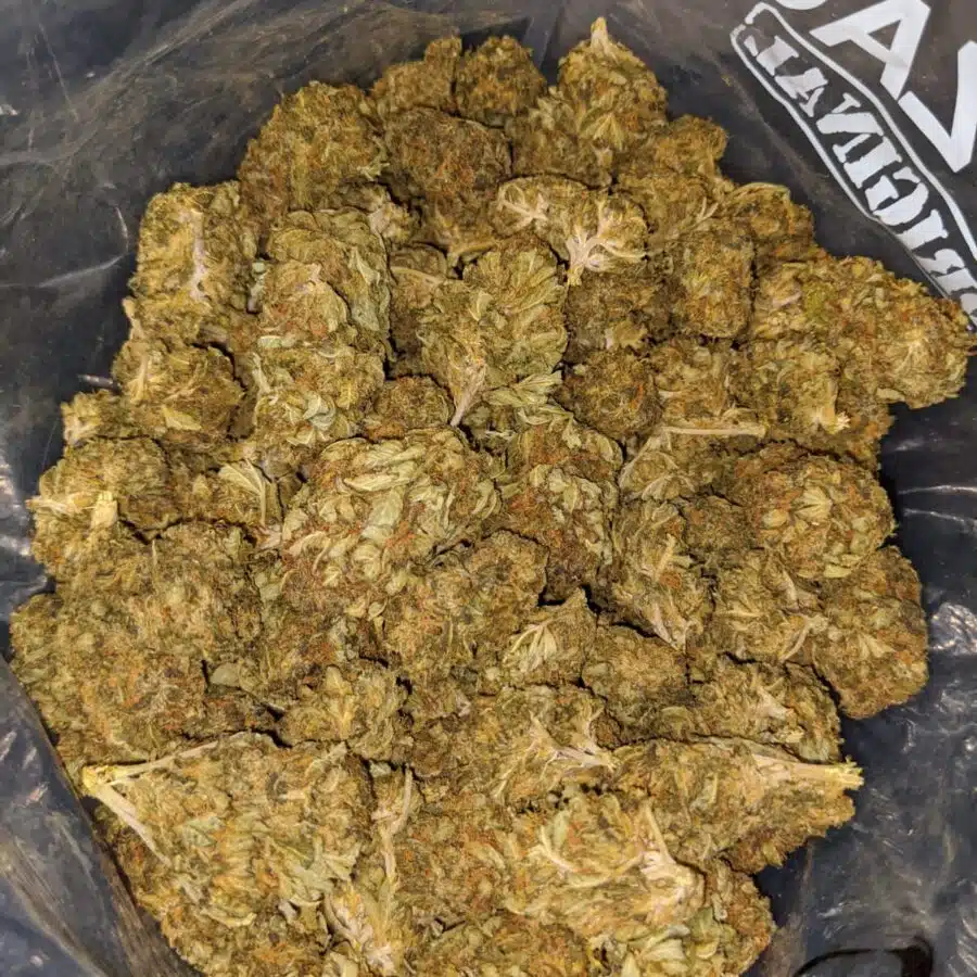 black buddha aa 3 I Black Buddha AA+