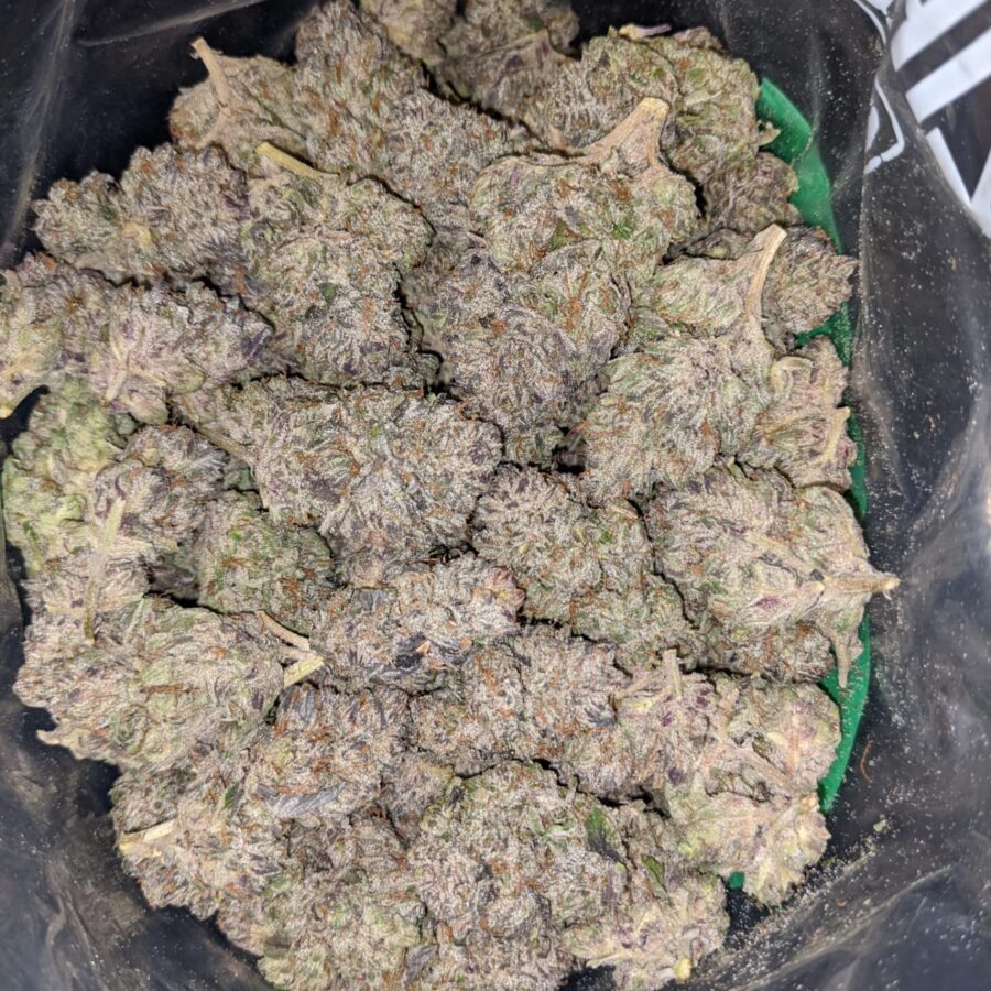 black cherry soda 2 2 I Black Cherry Soda